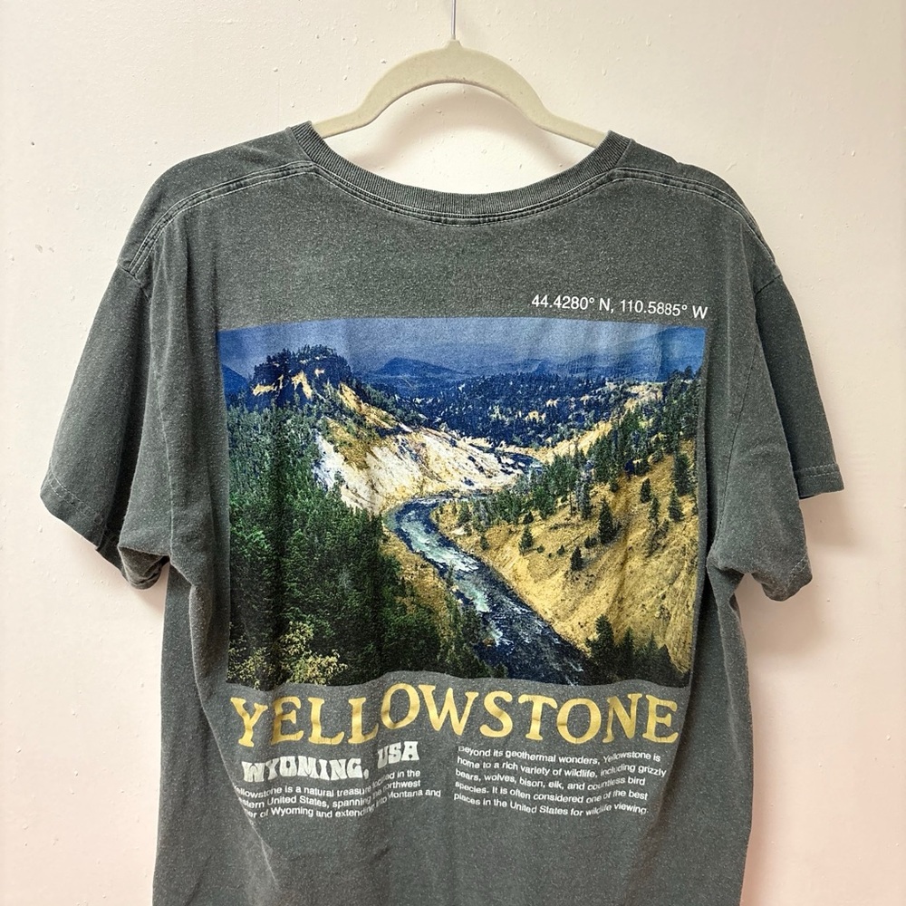 Gray Yellowstone Graphic Tee